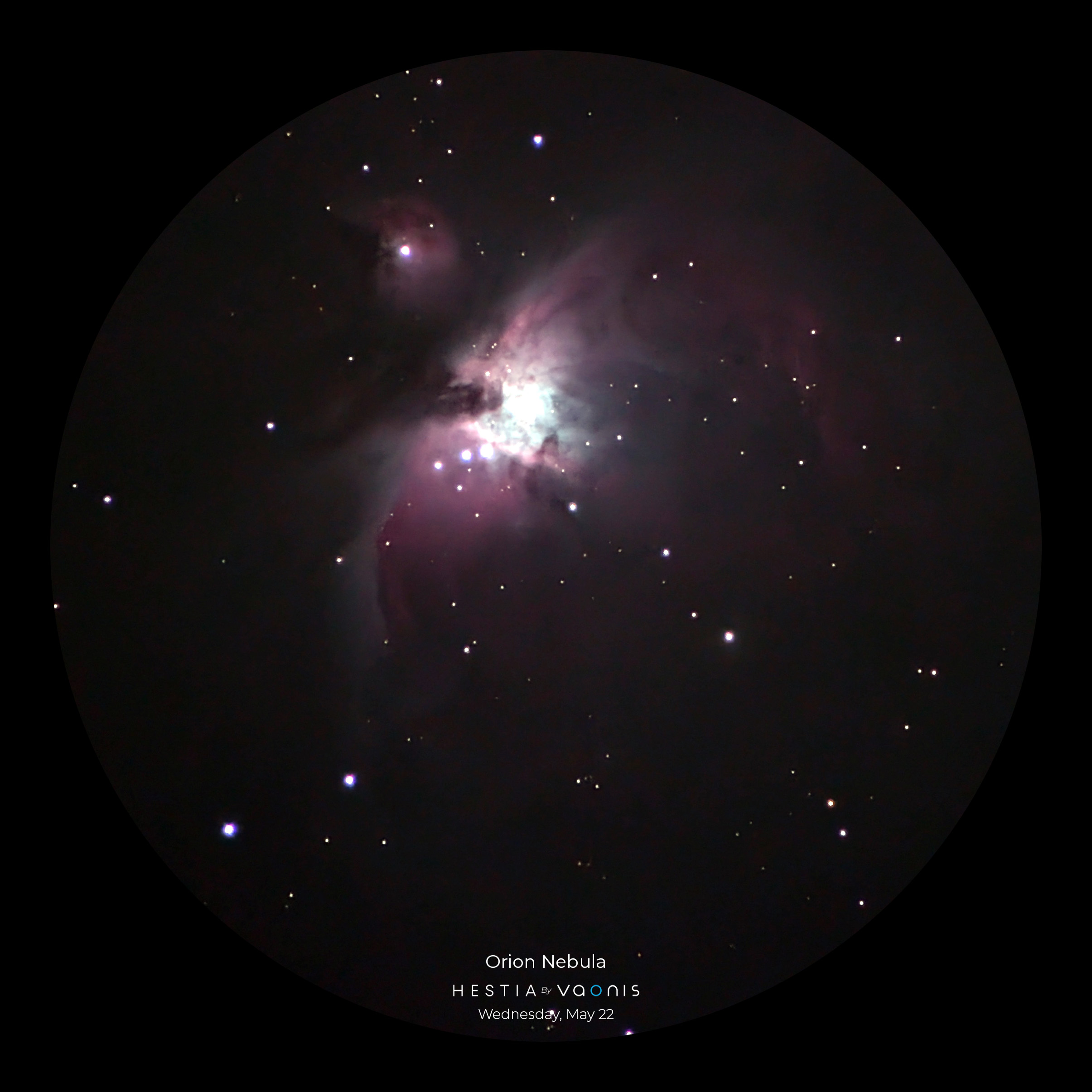 Hestia – Orion Nebula