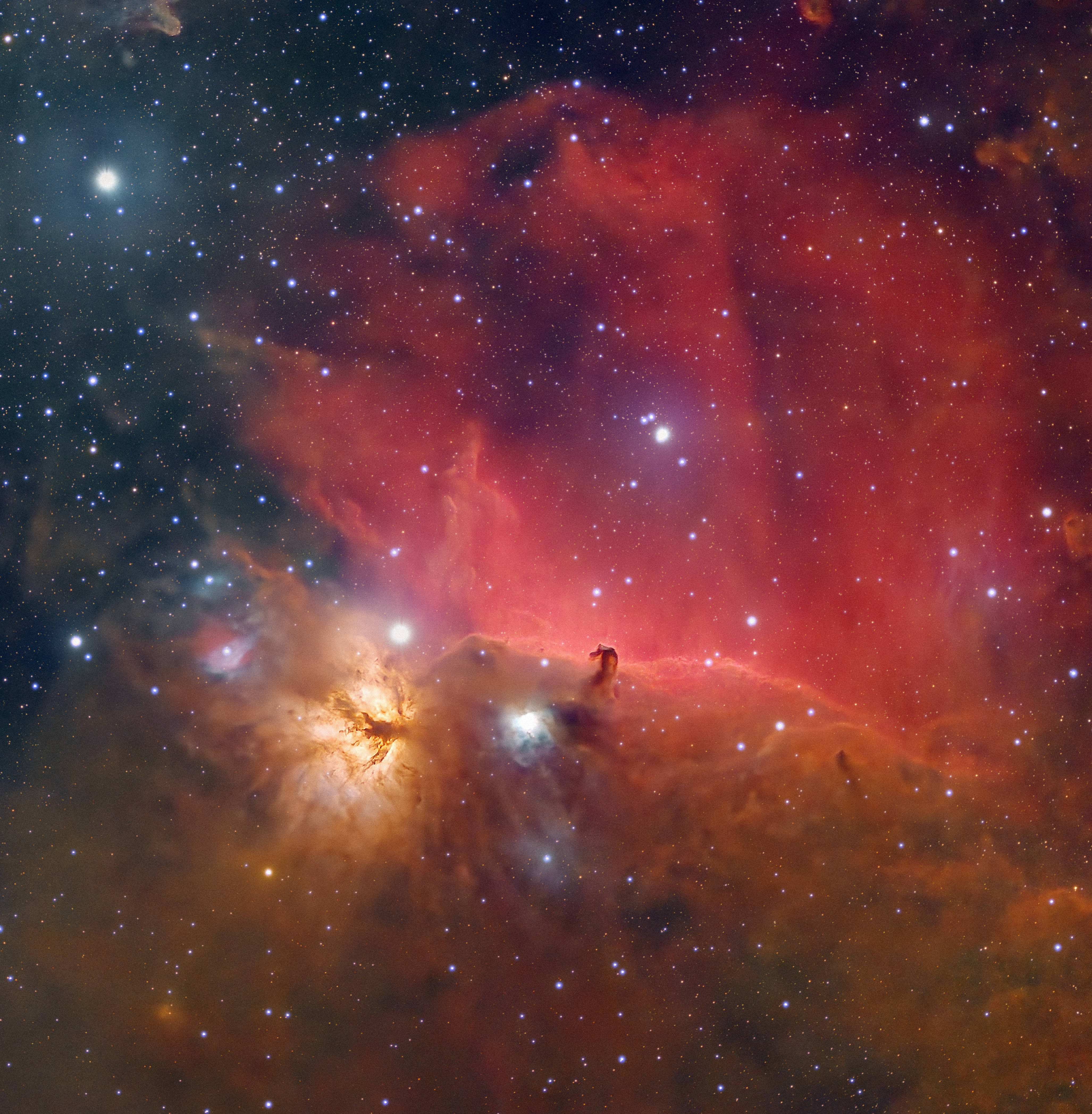 Horsehead Nebula (Live Mosaic)