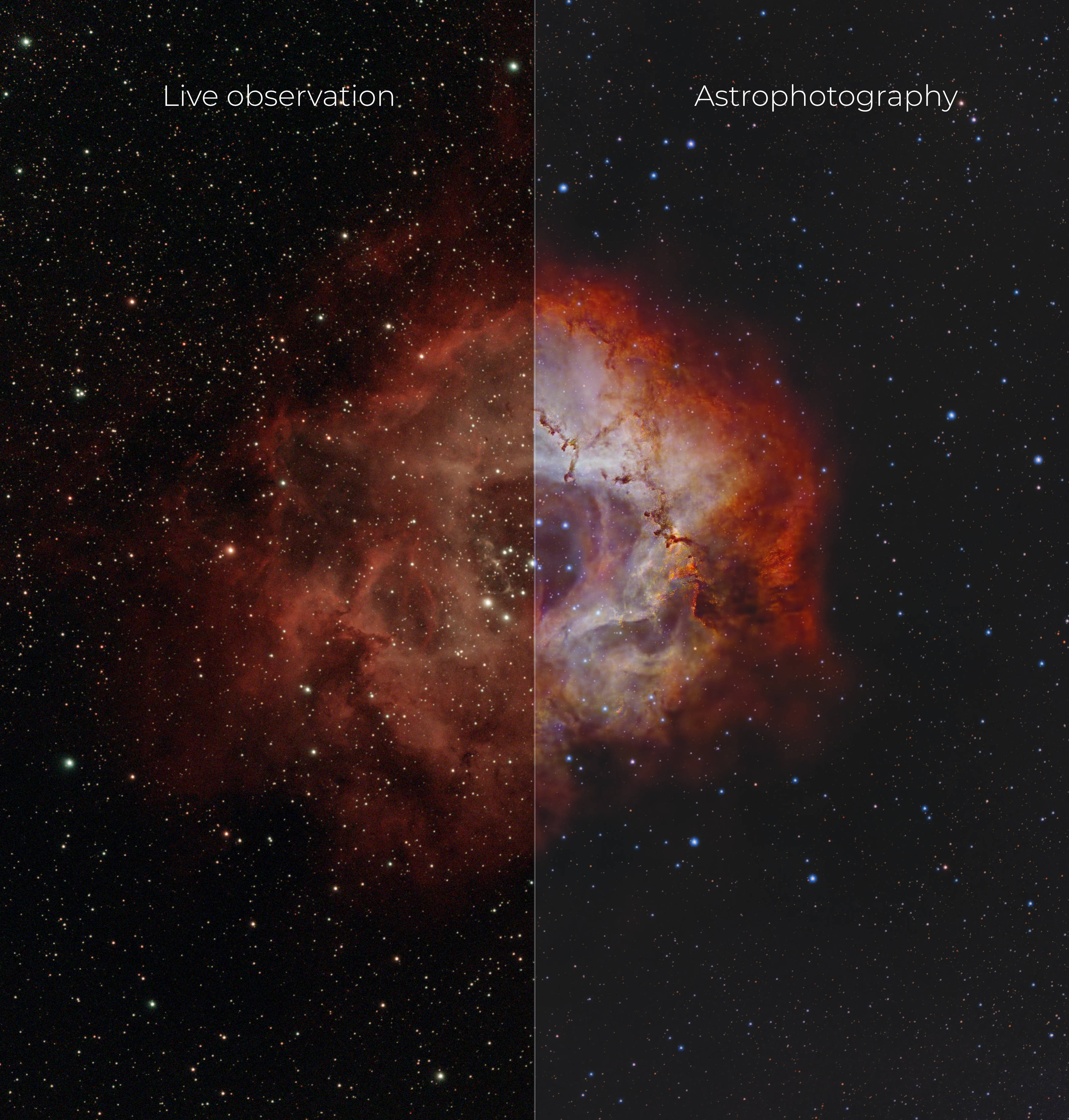 Rosette Nebula Vergleich